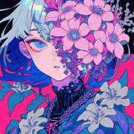 decoits